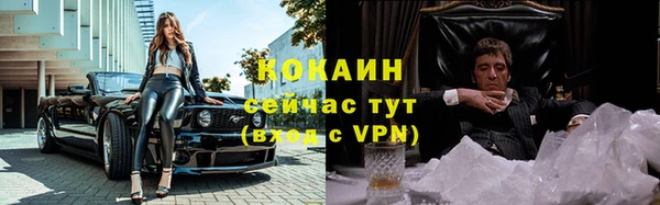 твердый Богородицк