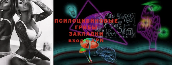 твердый Богородицк