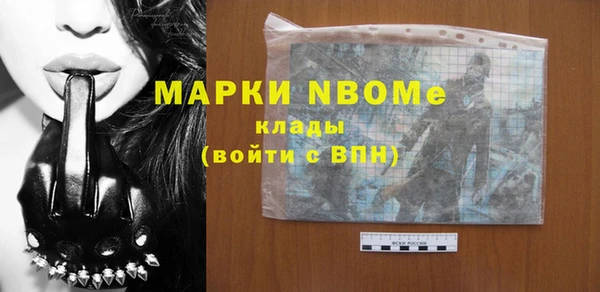 твердый Богородицк