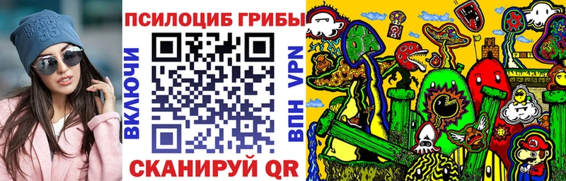 Галлюциногенные грибы Psilocybine cubensis  OMG   Михайлов 